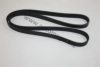 AUTOMEGA 30100850038 V-Ribbed Belts